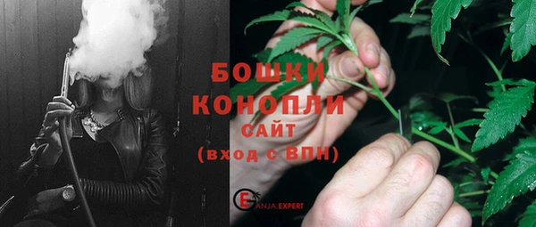 PSILOCYBIN Фёдоровский