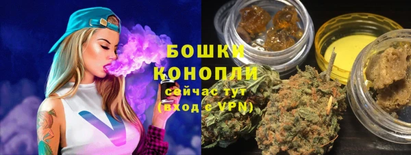 PSILOCYBIN Фёдоровский