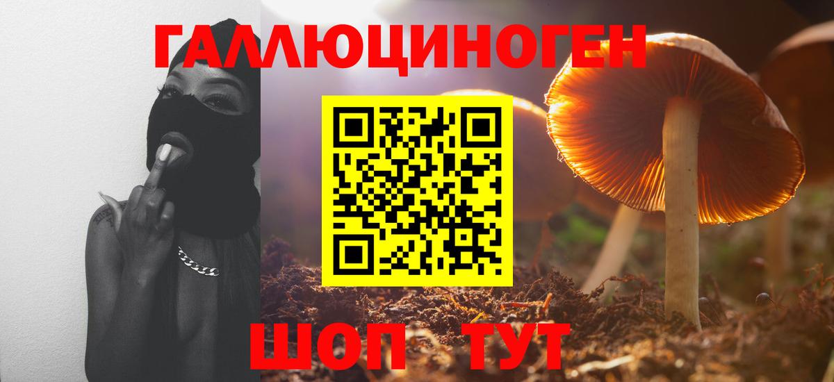 Галлюциногенные грибы Magic Shrooms Альметьевск